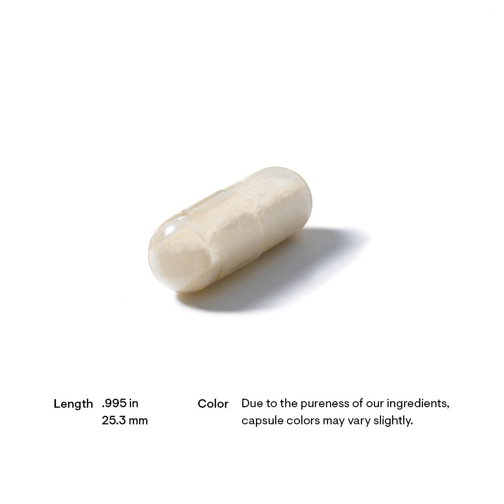 Glucosamine &amp; Chondroitin